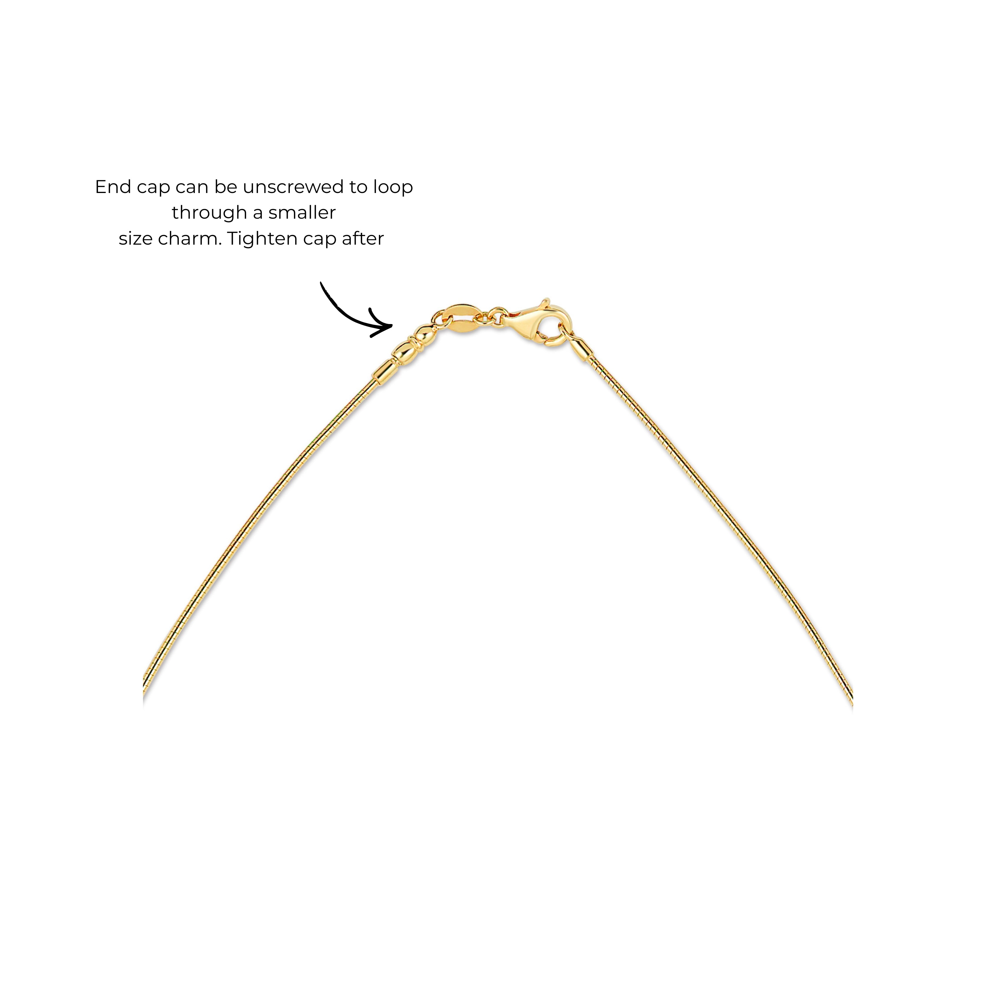 omega chain features of clasp