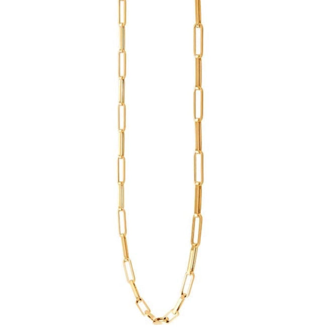 Paperclip Chain- Large